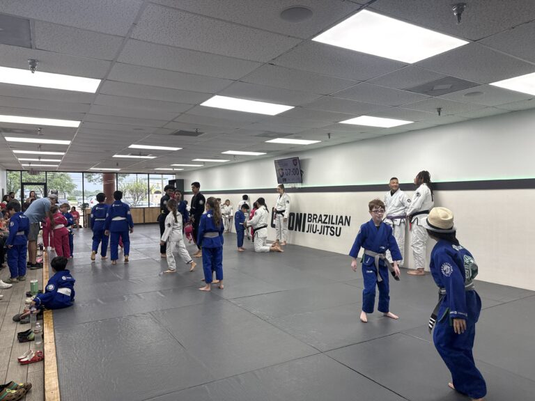 bjj classes for beginners