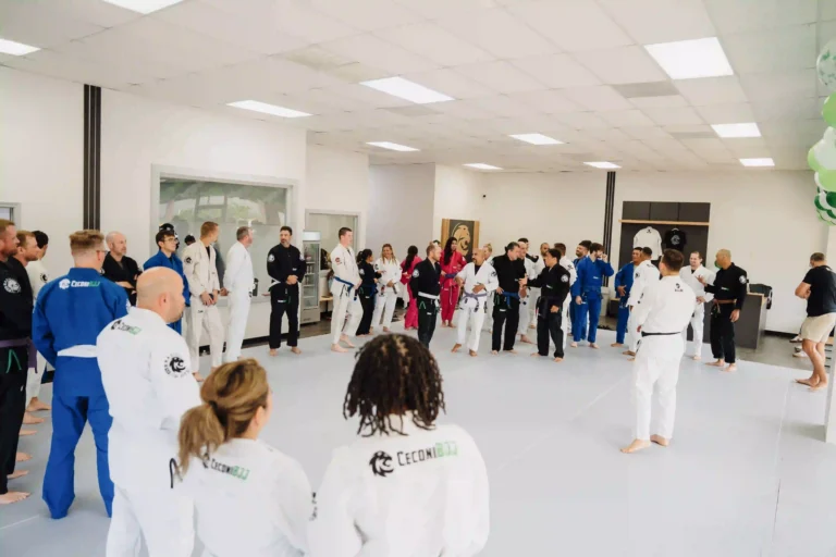 jiu jitsu classes near me